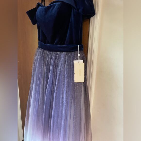 Fairy starfall ball velvet ombré tulle ballgown - Picture 5 of 9